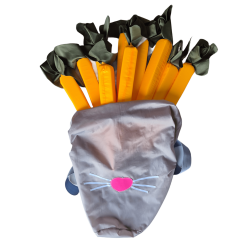 Rabbit and Carrots