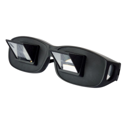 Animation goggles reverse...